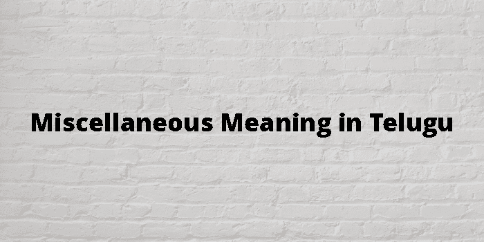 Miscellaneous Meaning In Telugu - తెలుగు అర్థం