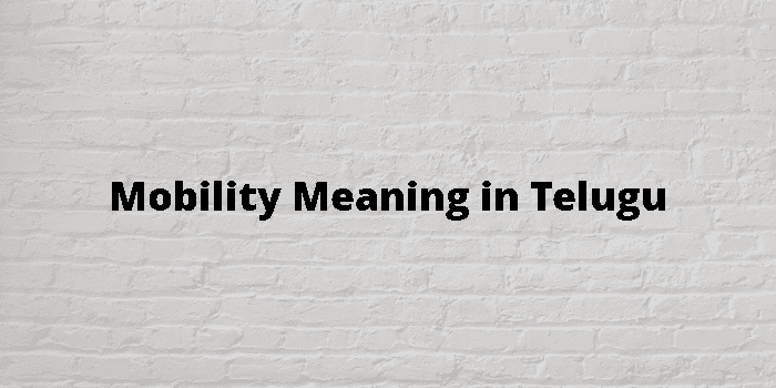 mobility-meaning-in-telugu