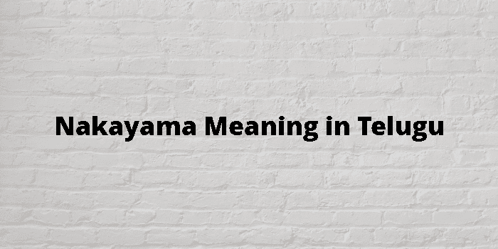 nakayama-meaning-in-telugu