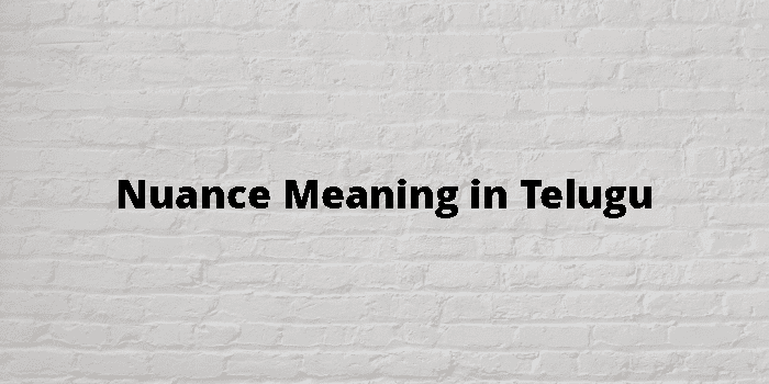 nuance-meaning-in-telugu