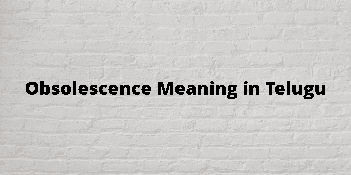 obsolescence-meaning-in-telugu