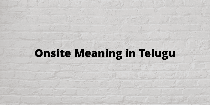 Onsite Meaning In Telugu - తెలుగు అర్థం