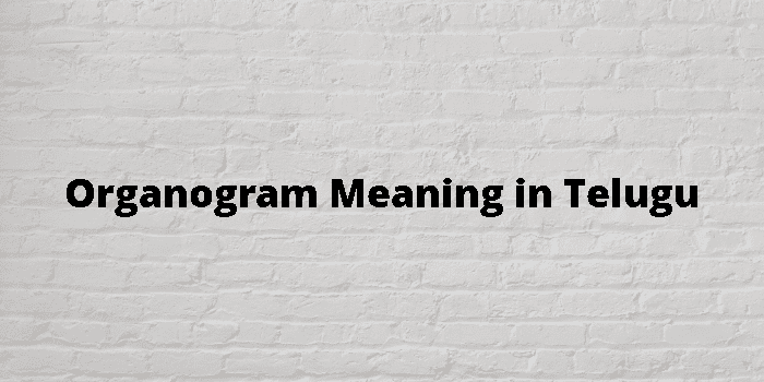 organogram-meaning-in-telugu