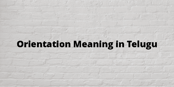 orientation-meaning-in-telugu