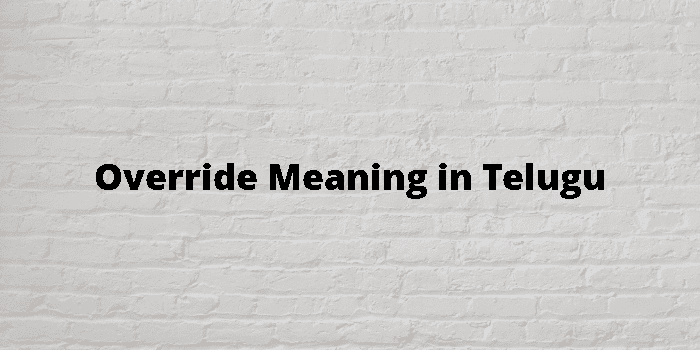 override-meaning-in-telugu