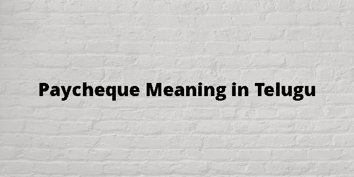 paycheque-meaning-in-telugu