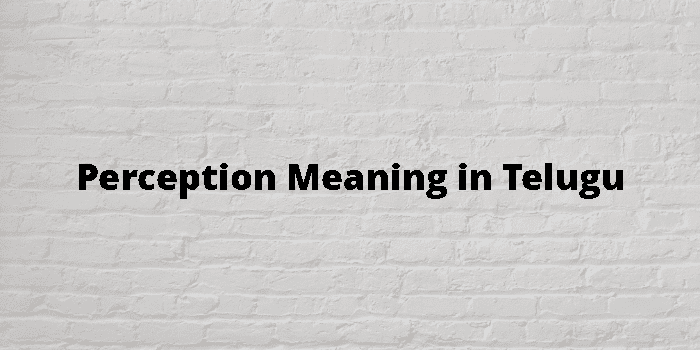 Perception Meaning In Telugu - తెలుగు అర్థం