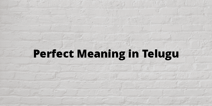 perfect-meaning-in-telugu