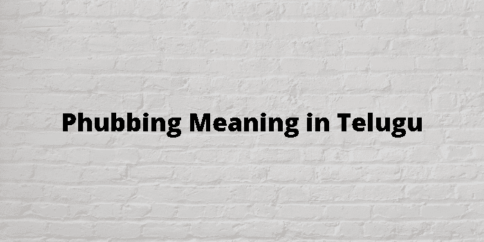 phubbing-meaning-in-telugu