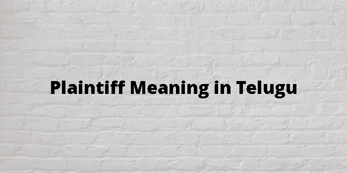 Plaintiff Meaning In Telugu