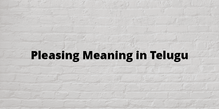 pleasing-meaning-in-telugu