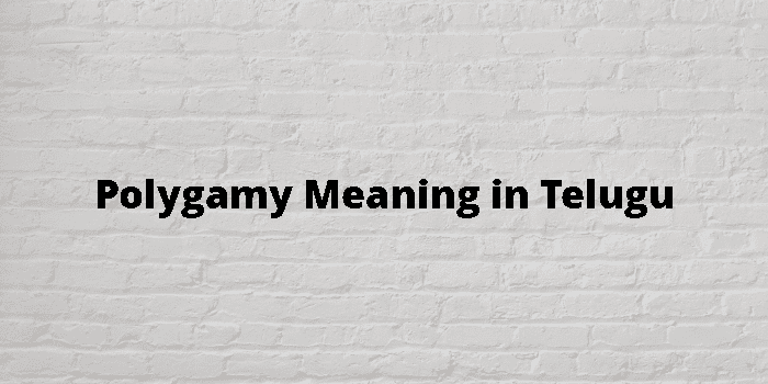 polygamy-meaning-in-telugu