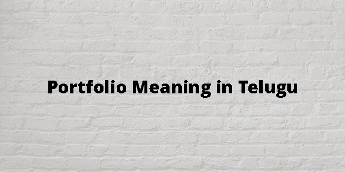 portfolio-meaning-in-telugu