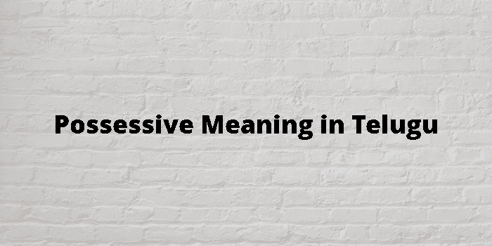 What Is The Telugu Meaning Of Possessive