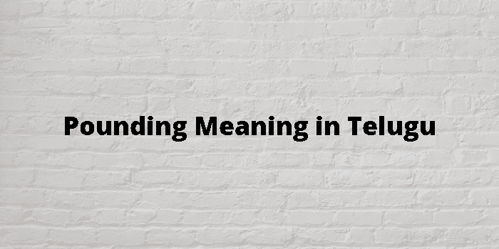 pounding-meaning-in-telugu