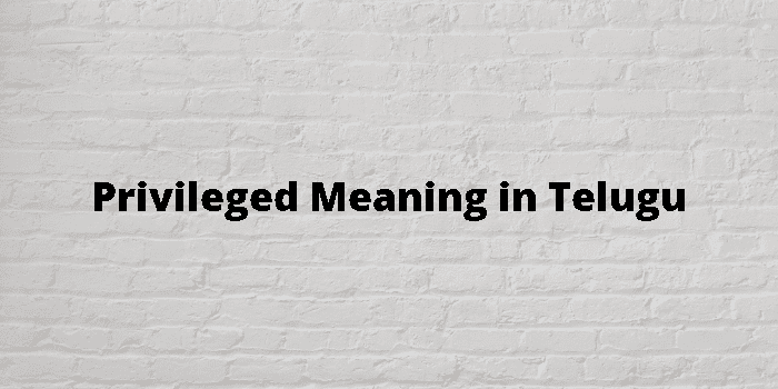 privileged-meaning-in-telugu