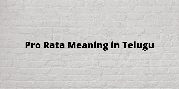 pro-rata-meaning-in-telugu