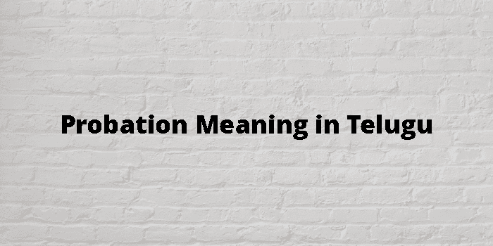 probation-meaning-in-telugu