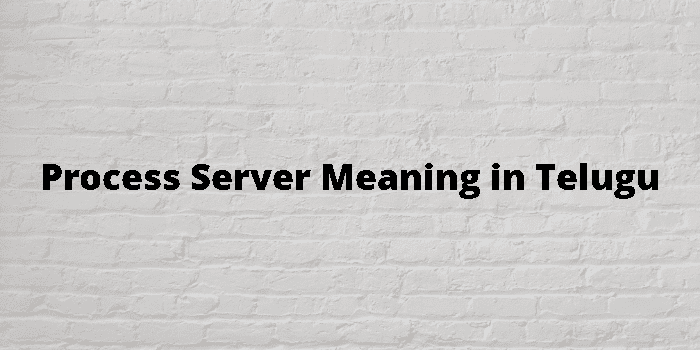 process-server-meaning-in-telugu