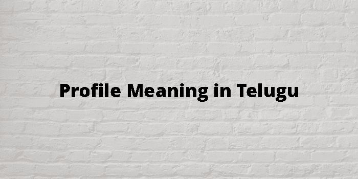 profile-meaning-in-telugu