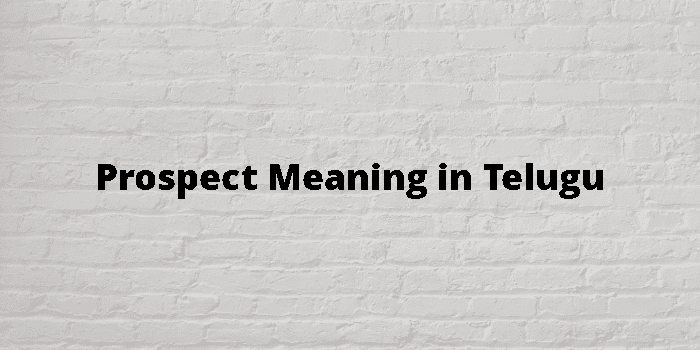 prospect-meaning-in-telugu