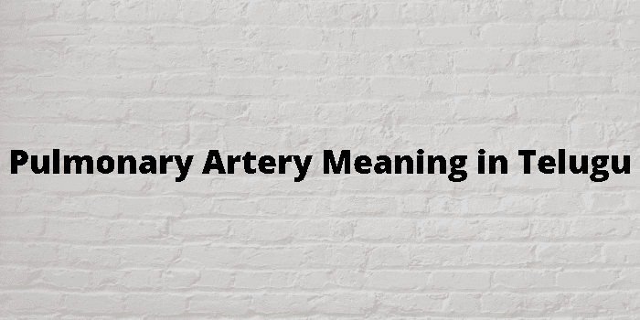 pulmonary-artery-meaning-in-telugu