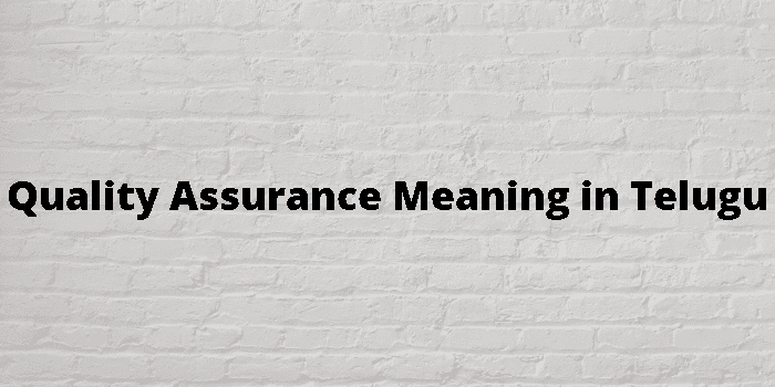 Quality Assurance Meaning In Telugu 
