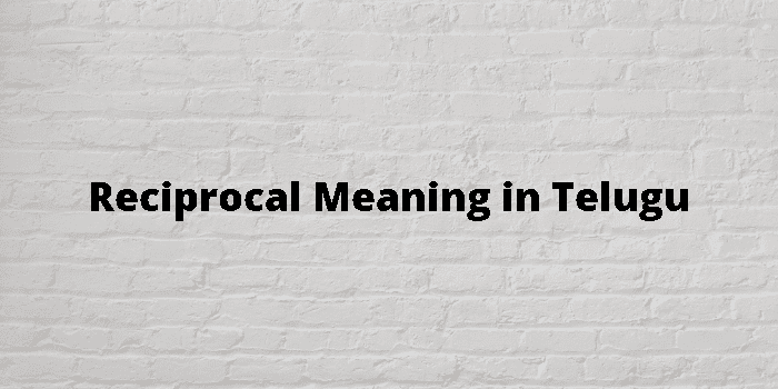 reciprocal-meaning-in-telugu