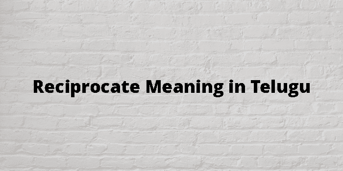 reciprocate-meaning-in-telugu