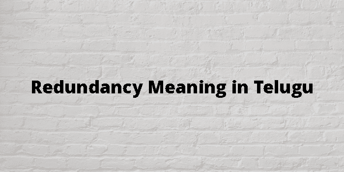 Redundancy Meaning In Telugu