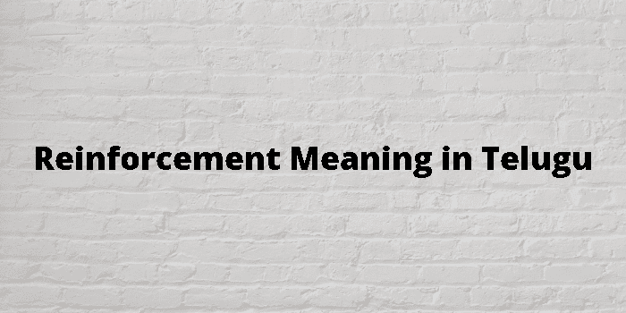 reinforcement-meaning-in-telugu