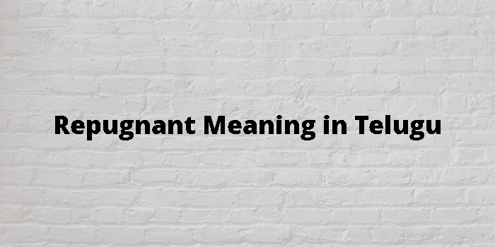 repugnant-meaning-in-telugu