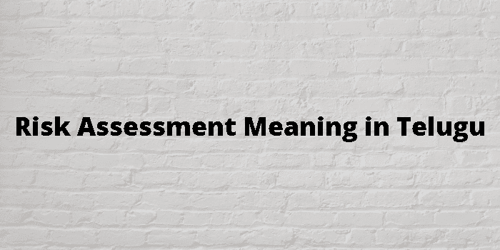 risk-assessment-meaning-in-telugu