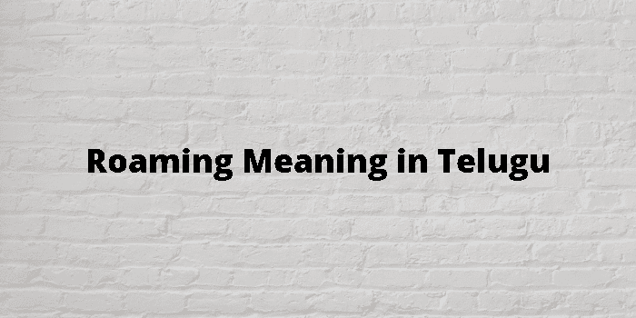 Roaming Meaning In Telugu