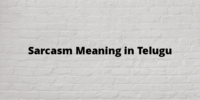 SARCASM MEANING IN TELUGU WITH EXAMPLE SENTENCE visual data 8
