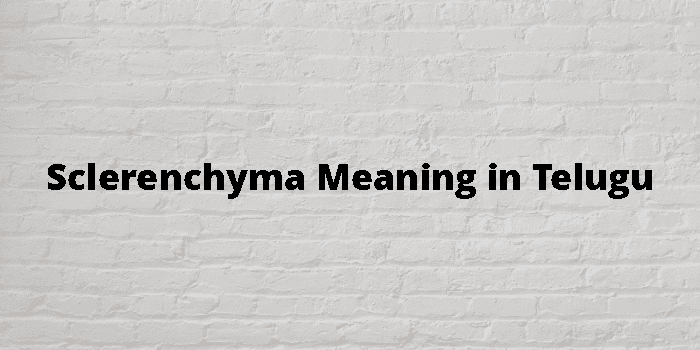 sclerenchyma-meaning-in-telugu