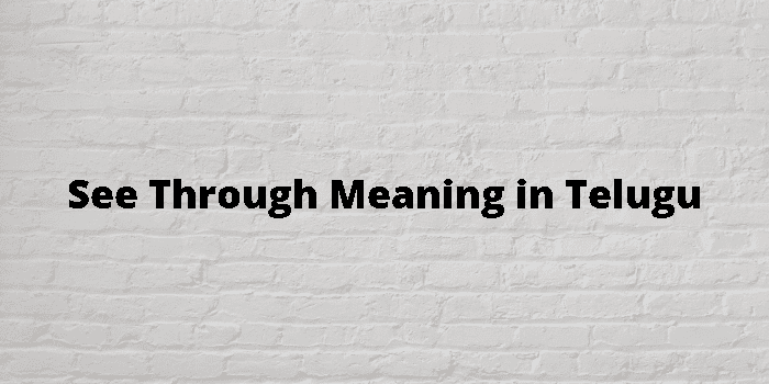 see-through-meaning-in-telugu