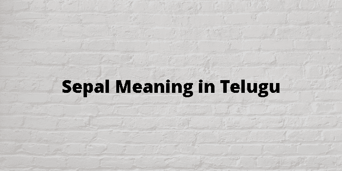 sepal-meaning-in-telugu