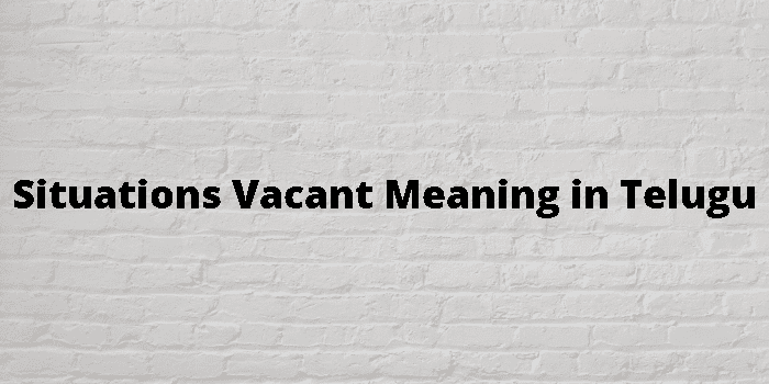 Vacant Meaning In Telugu