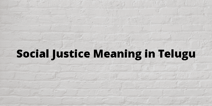 Justice Meaning In Telugu