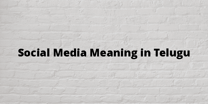 social-media-meaning-in-telugu