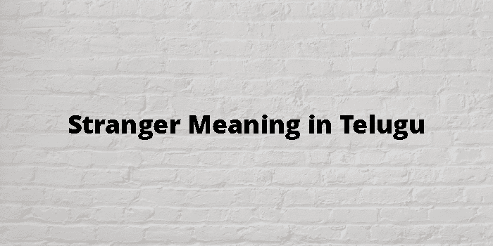 Stranger Meaning In Telugu