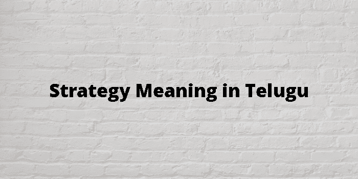 strategy-meaning-in-telugu