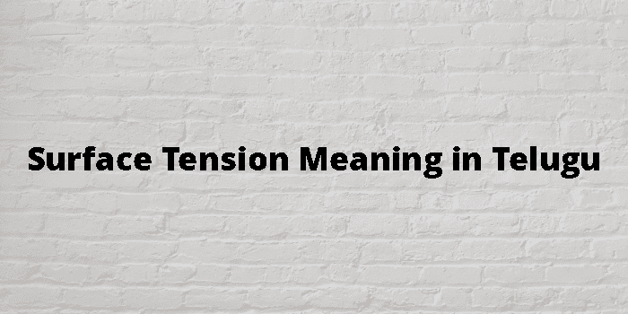 surface-tension-meaning-in-telugu