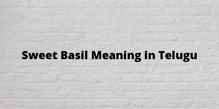 Sweet Basil Meaning In Telugu