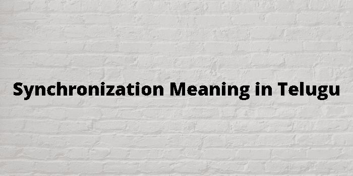 synchronization-meaning-in-telugu