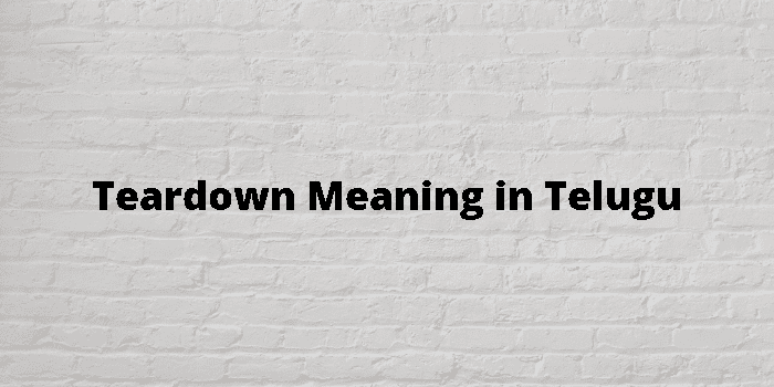 teardown-meaning-in-telugu