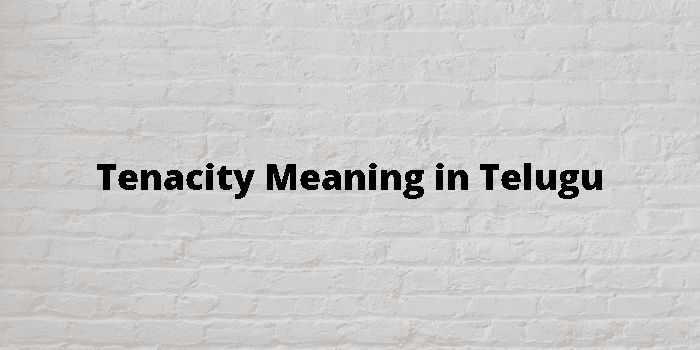 Tenacity Meaning In Telugu