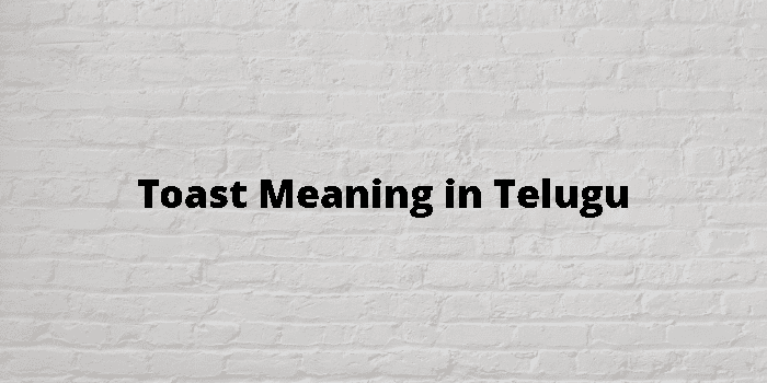 toast-meaning-in-telugu