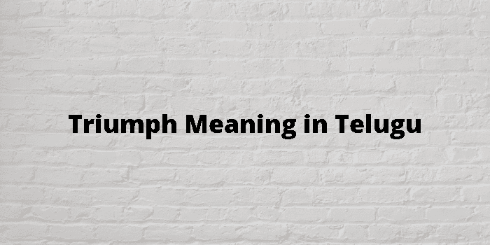 Triumph Meaning In Telugu